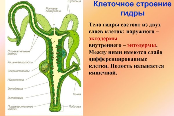 Как найти kraken