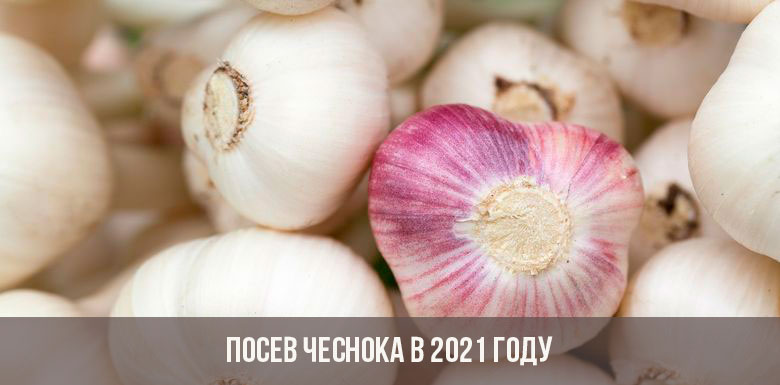 Сайт кракена актуальный