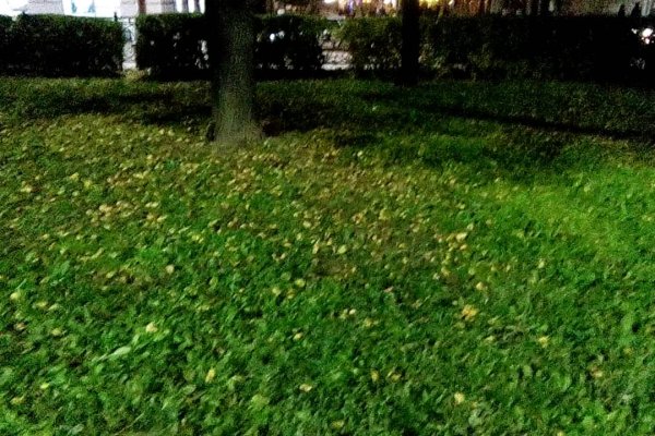 Кракен маркет зайти