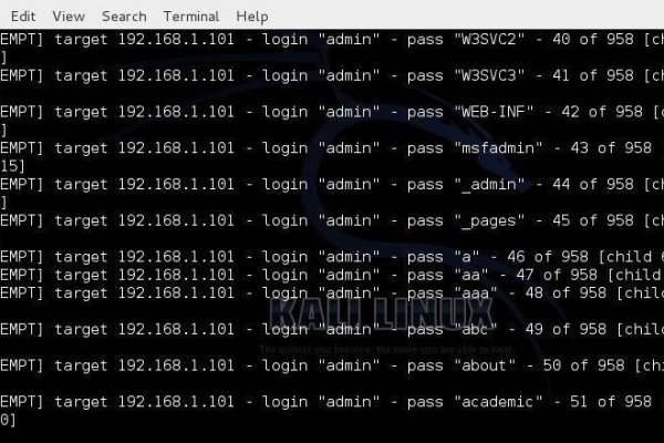 Darknet как войти